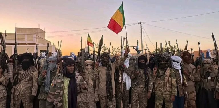 Tribune – Le Mali au bord de la rupture : vers un contrôle djihadiste du territoire ?
