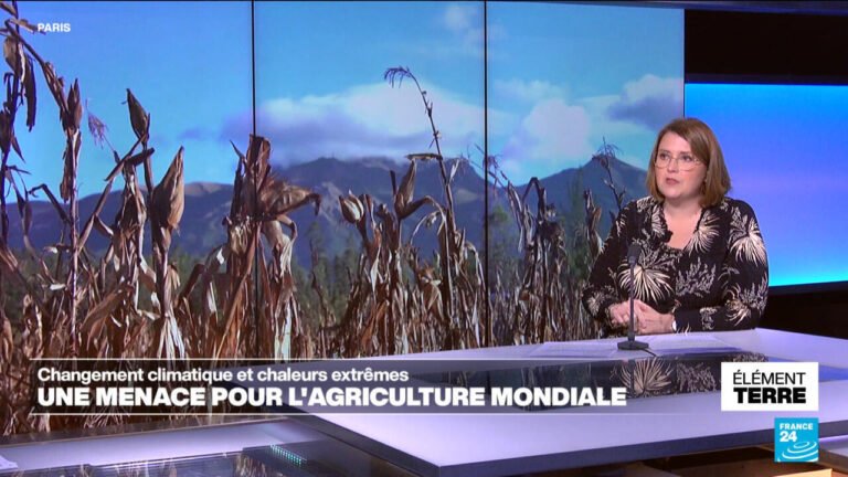 Changement climatique: une menace pour l'agriculture mondiale