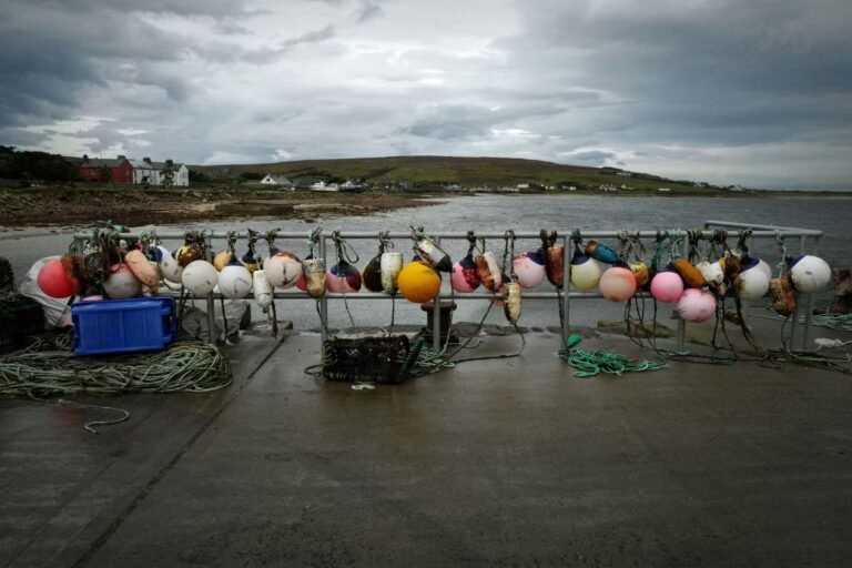 Histoire du premier roman de l’Irlandaise Sheila Armstrong, « Echoués sur le rivage », qui s’inspire d’un fait divers pour explorer indirectement les conditions de travail des marins
