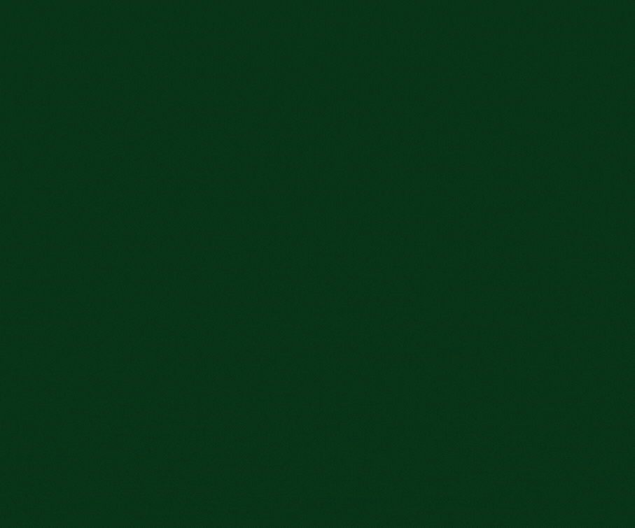 spot_img