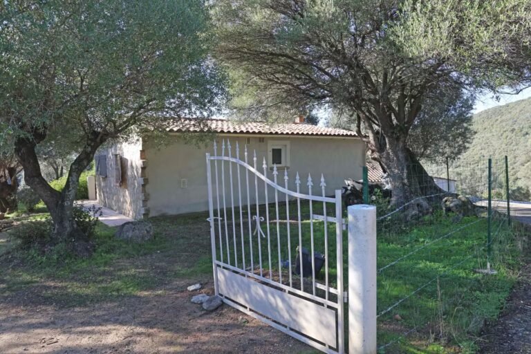 Petit Bar : le parquet requiert entre douze et quatorze ans de prison à l’encontre de Mickaël Ettori, « financier » du clan criminel corse