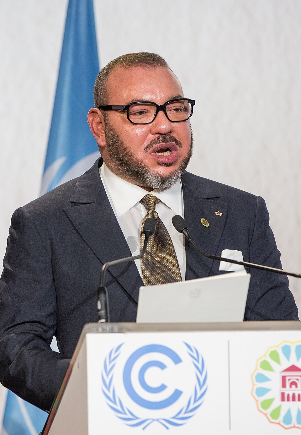 Mohammed VI, roi du Maroc